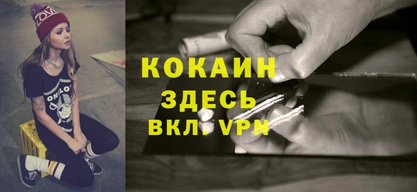 гашик Белоозёрский