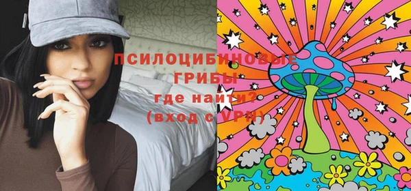 гашик Белоозёрский