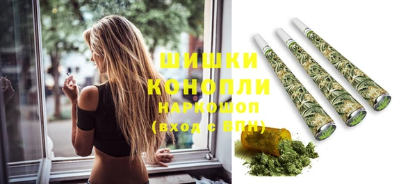 гашик Белоозёрский