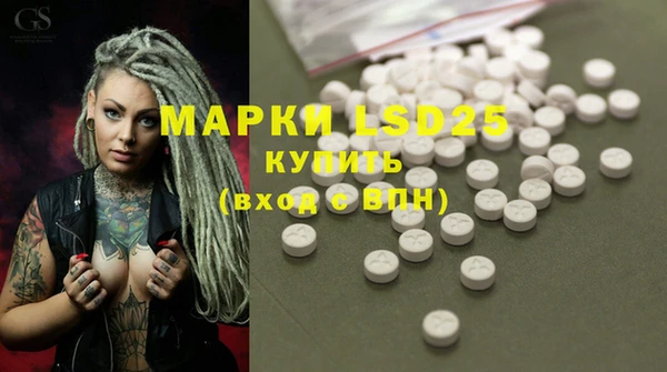гашик Белоозёрский