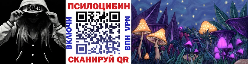 Псилоцибиновые грибы GOLDEN TEACHER Салаир